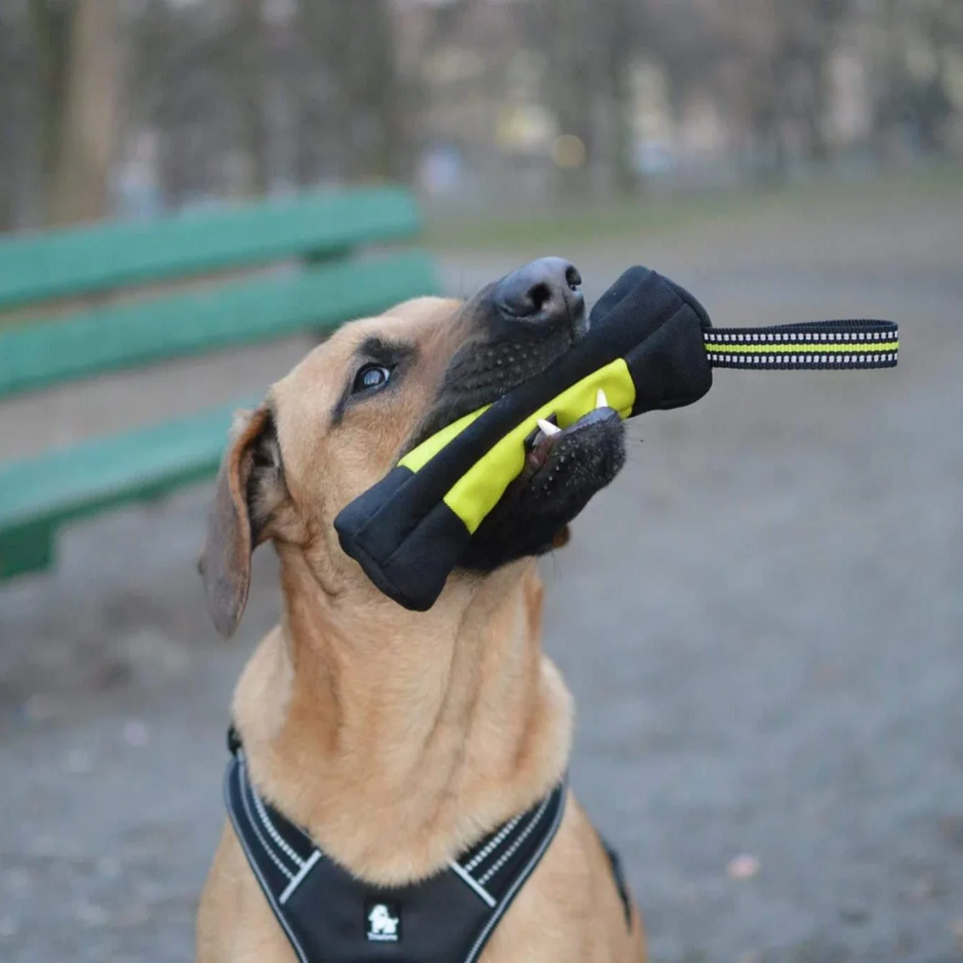 Truelove Hondentraining Retrie - Food Storage Zipper Bags recensie en prijs